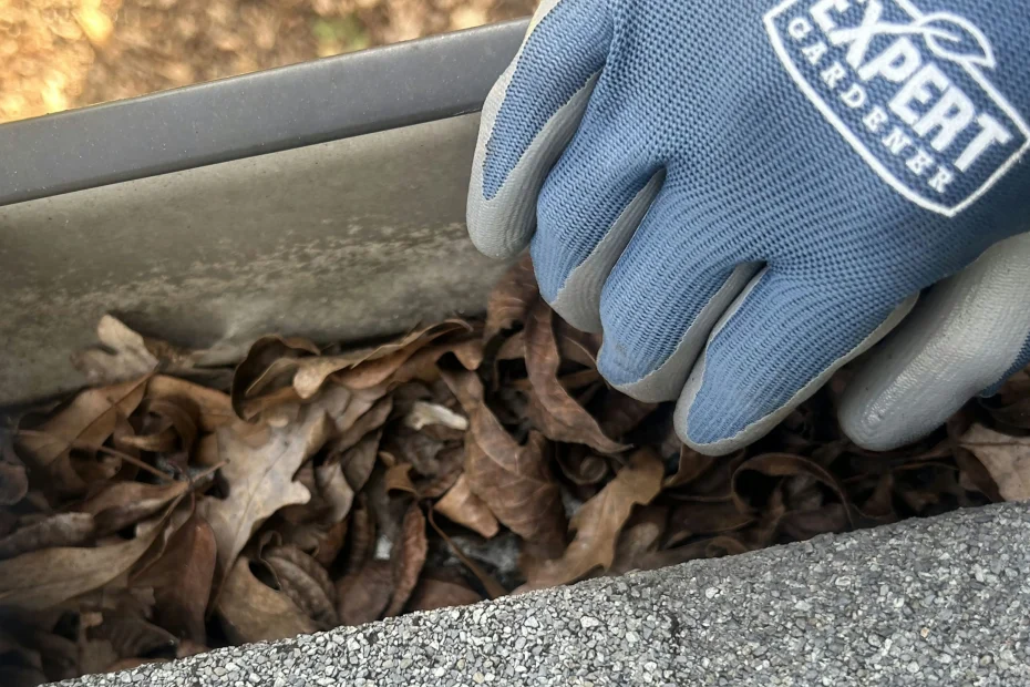 Gutter Cleaning Springdale