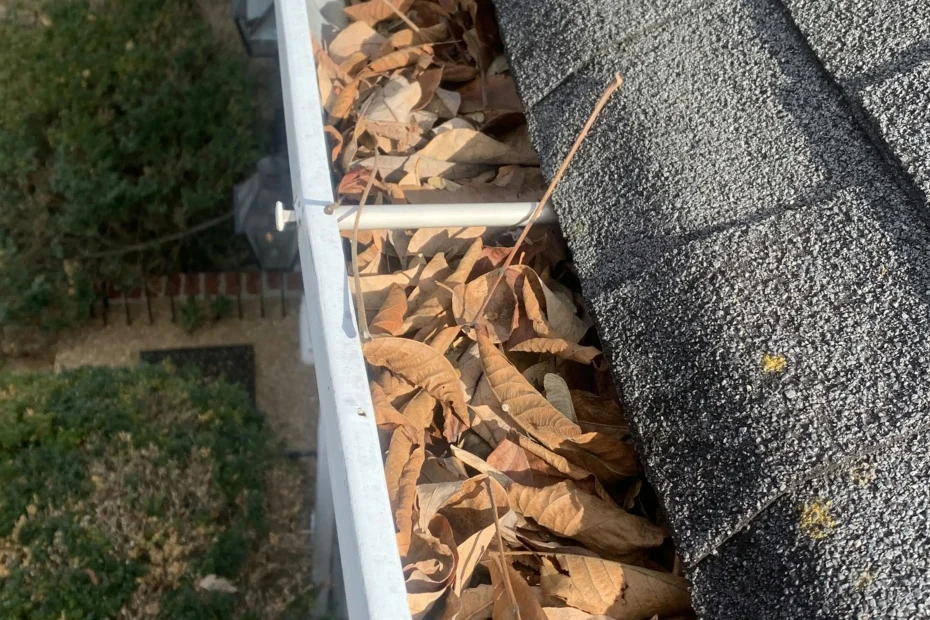 Gutter Cleaning Springdale