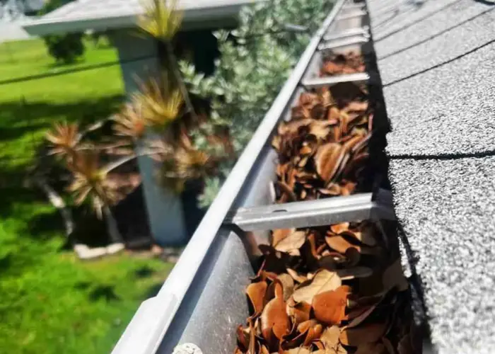 Gutter Cleaning Springdale home page